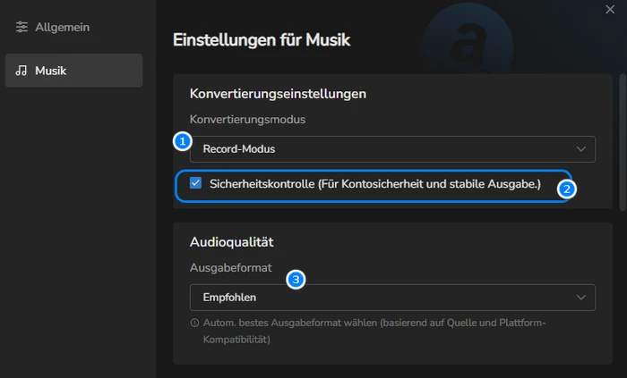 HD Qualität bei TunePat einstellen