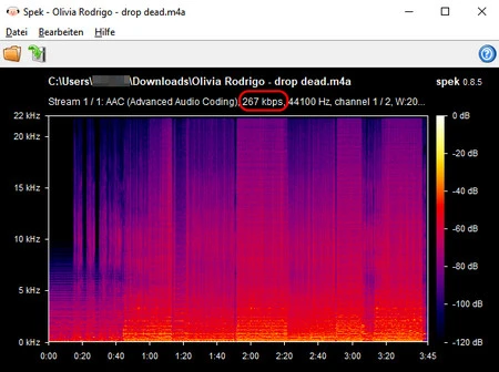Spektrumanalyse der Audiodatei von am-dl Apple Music Downloader
