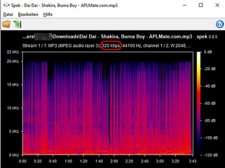 Spektrumanalyse der Audiodatei von APLMate Apple Music Downloader
