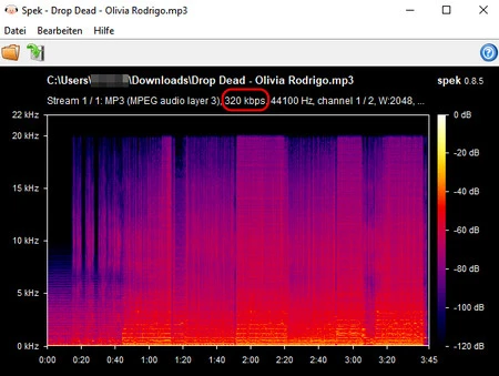 Spektrumanalyse der Audiodatei von Apple Music Downloader MP3