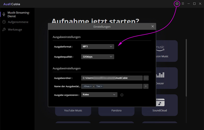 Einstellungen von AudiCable