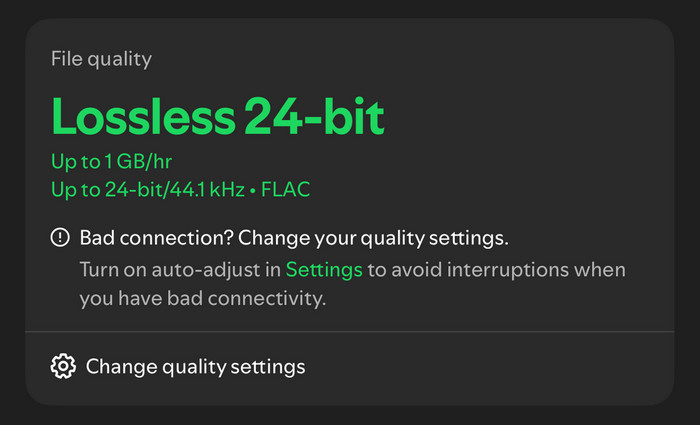 Spotify Lossless Audio
