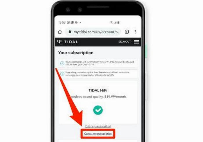 Tidal-Abo auf Android kündigen.