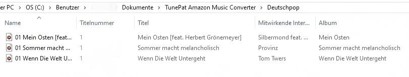 Die von TunePat heruntergelade Musik