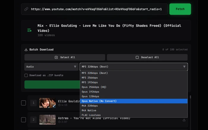 vdwn.cloud - Free Video & Audio Downloader