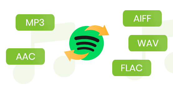 fast speed to download spotify music